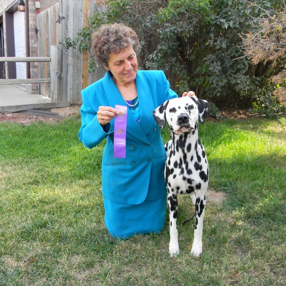 Meet your Posher, Jena